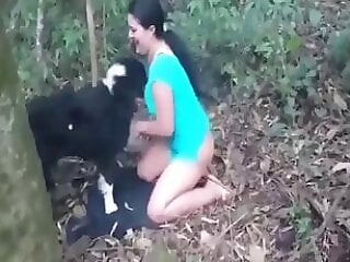 Animals bestiality porn