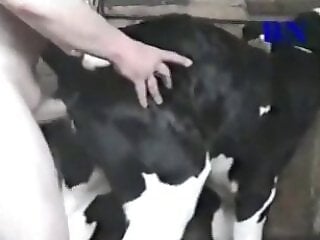 Farm bestiality porn