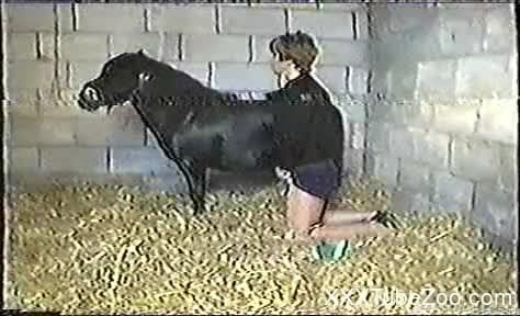 Naked woman tries the pony for a few rounds of zoophilia hq pic