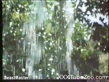 384px x 288px - Classic xnxx fuck scenes with vintage zoophilia lovers