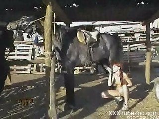 Chick with red hair has oral and vaginal sex with horse