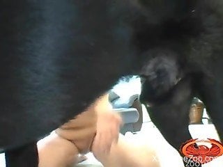 Asian bitch is sucking doggy dick and getting some jizz