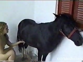 Big black pony pounds a big-boobed doll in the doggy style pose