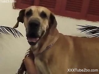 Curly-haired slut with a trimmed cunt gets fucked by a dog