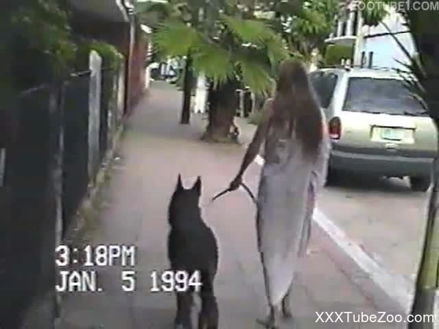 German Shepherd Dog Sex Video - Retro bestiality video with a leggy brunette amateur