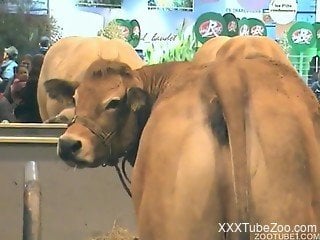 Sexy cow showing off her delicious pussy for you