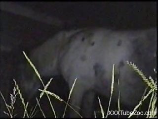 Sexy horse getting fucked from behind in the dark