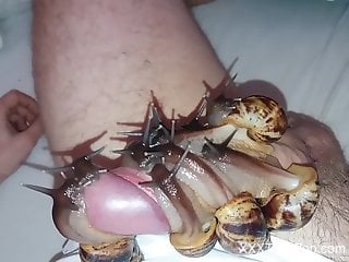Dude's hot cock gets pleasured by a bunch of snails