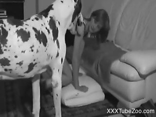 B&W fuck scene with a Dalmatian and a dirty teen