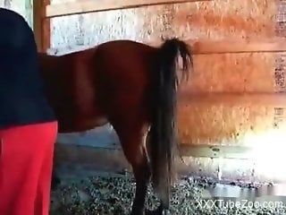 Horny zoophile fist-fucking a mare's huge pussy
