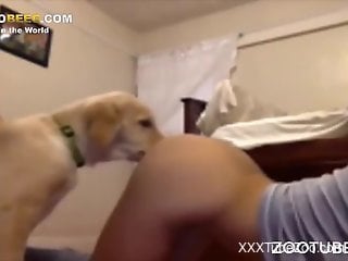 Seductive scenes of animal porn with the trustful dog