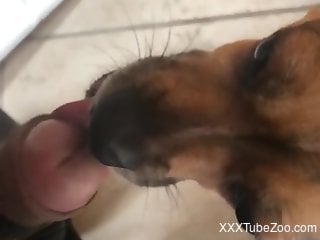 Obedient little animal prepping to suck dick in POV