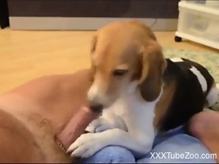 Dirty doggo licking that beautiful dick ALL OVER
