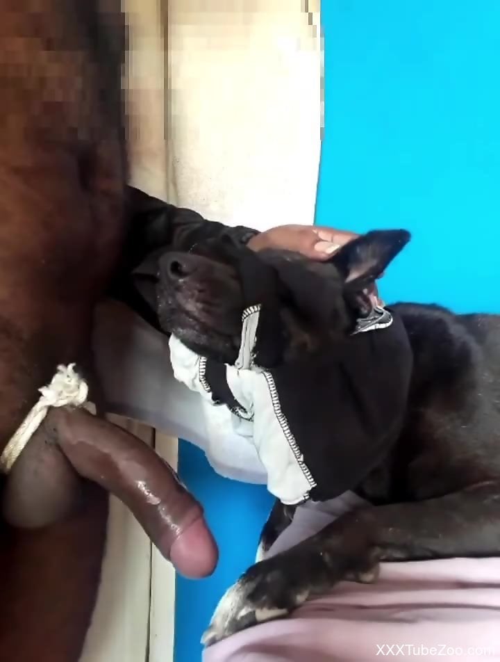 Hot dude fucking a dog's face in a hot porn scene