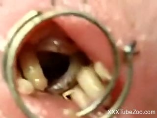 Horny male inserts living worms in his penis for better pleasure
