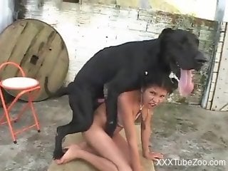 Appealing Latin zoophile fucking a black dog here