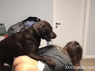 Free Animal Porn Videos and Bestiality Clips - Best XXX Zoo Tube