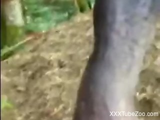 Hot bitch grabs horse by the cock to make it happy