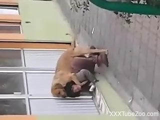 Casual bestiality with horny bitch getting caught