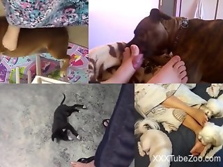 Aroused female enjoys foot fetish porn with her dog