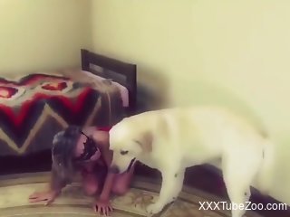 Blonde babe cam fucked by her dog and soaked in jizz