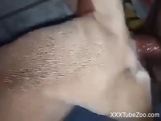 Man deep fucks furry dog in the pussy and comes inside