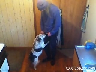 Senior man filmed fucking his dog in homemade perversions