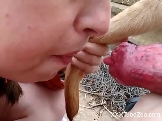 Amateur babe filmed in outdoor scenes licking a dog dick