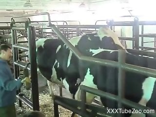 Curious farmer wants to try sex with the animals